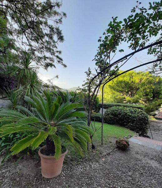 Casa Gazzano Villa Imperia Exterior photo